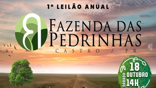 1º Leilão Anual Fazenda das Pedrinhas